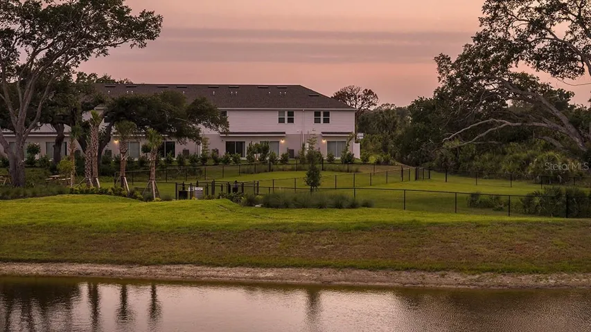 Pond Views