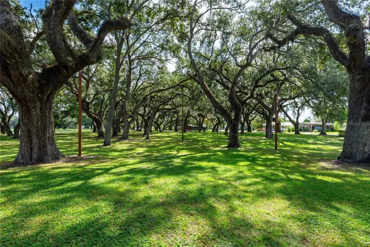 Wonderful walking trails in  the Oak Trees.