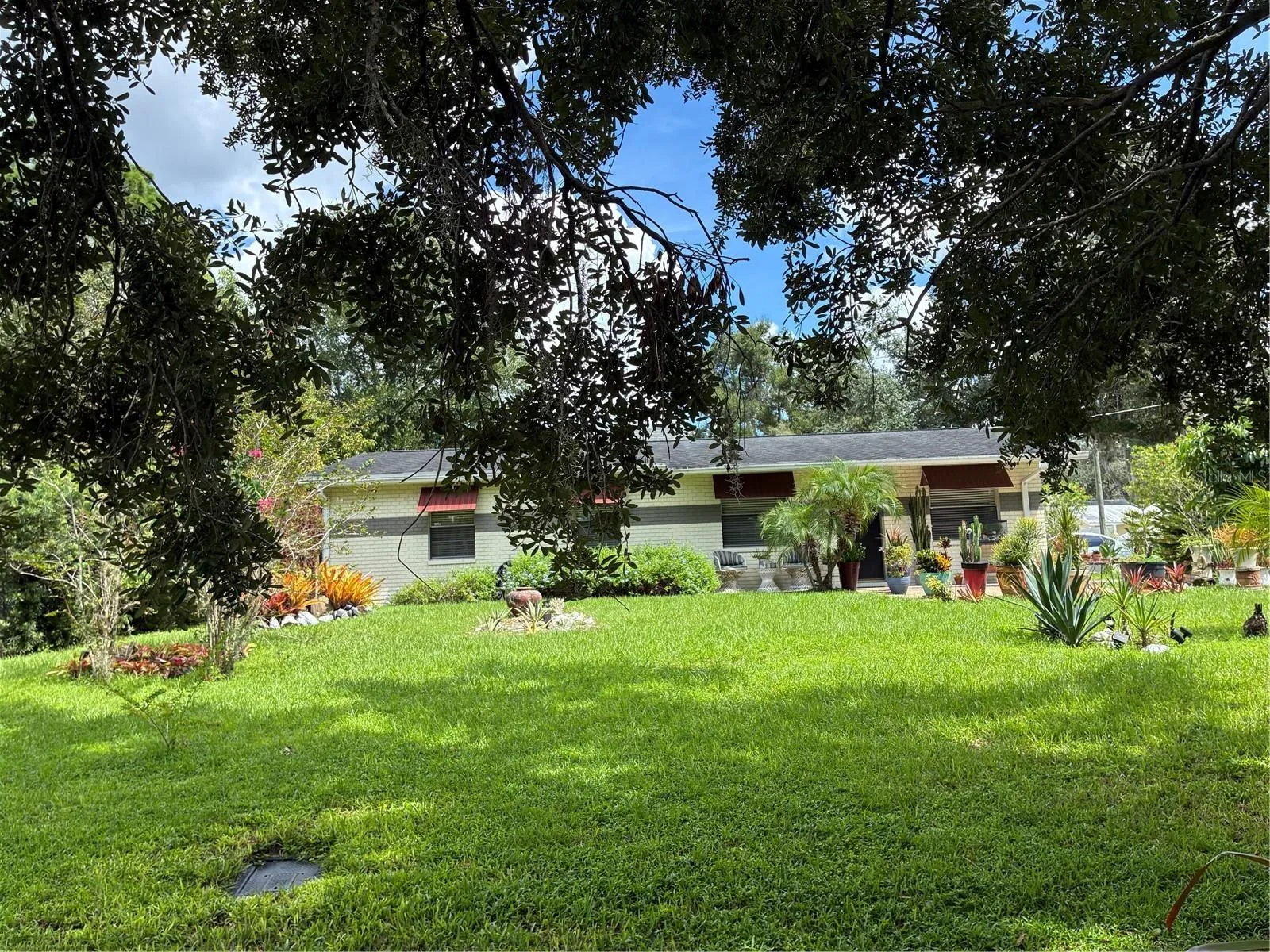 Front.