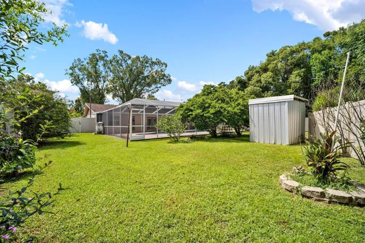 Back yard