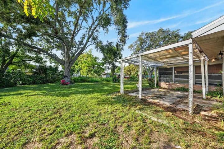 Back Yard and Patio