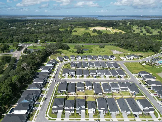 Neighborhood with Lake Dora