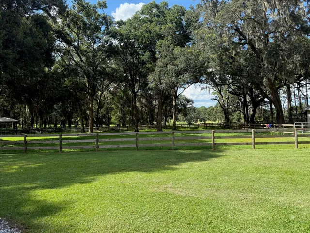 Paddock