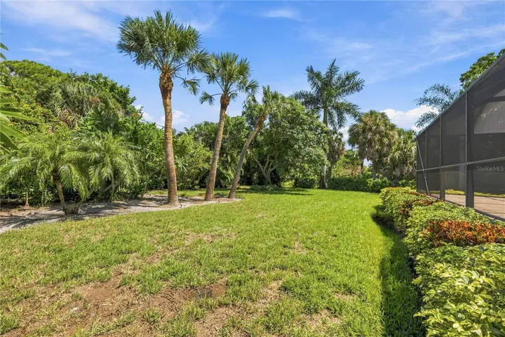 Plenty of mature palm trees of various kinds surround the property