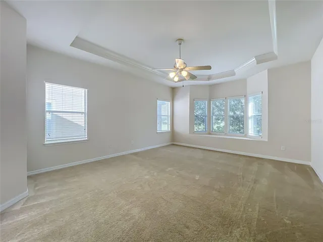 New carpet and fresh paint