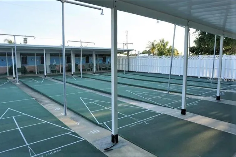 Shuffleboard