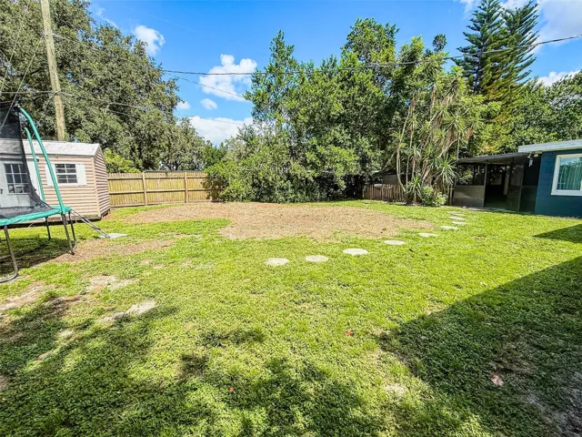 Backyard
