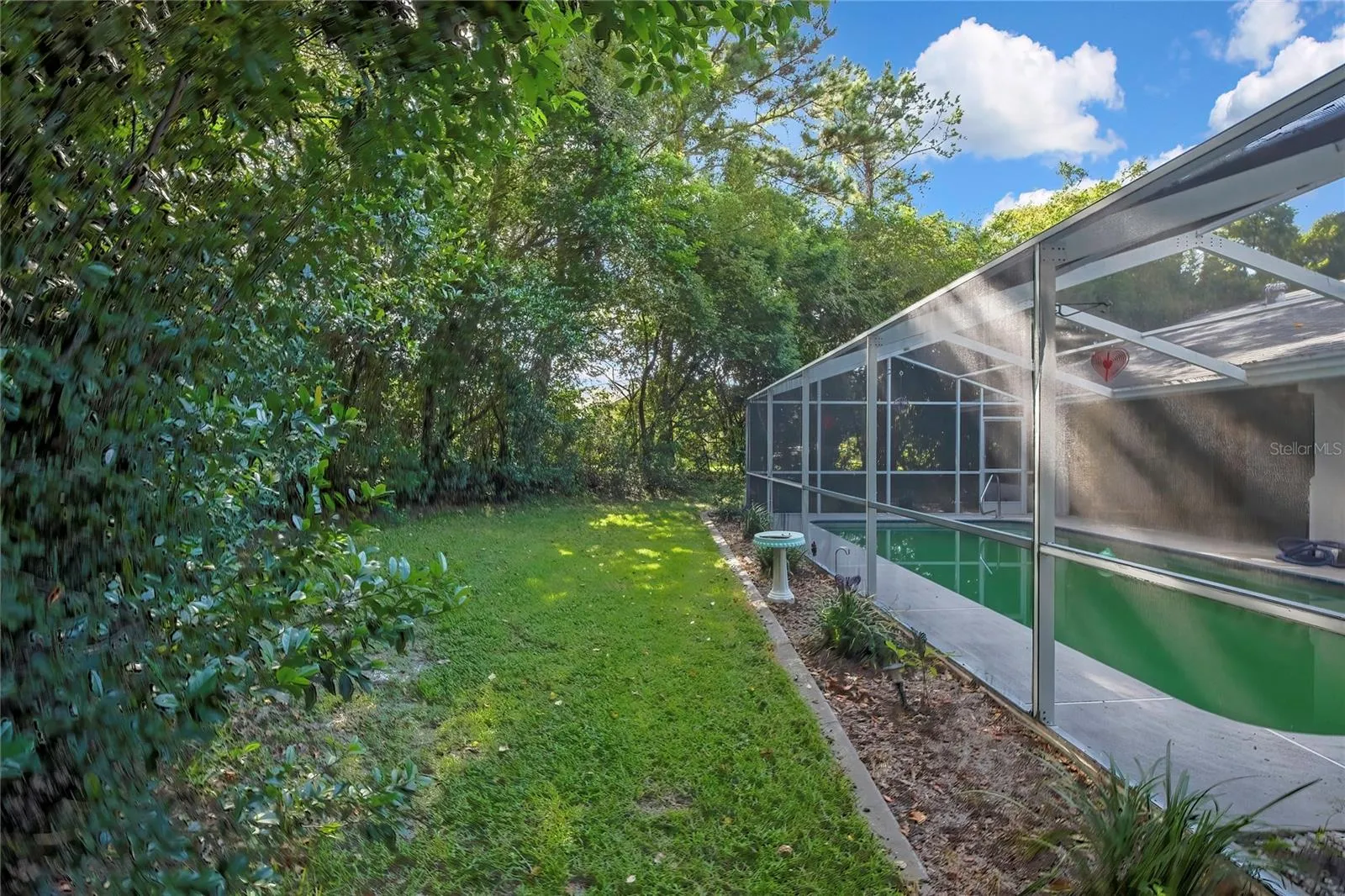 Exterior view of the screened pool enclosure and wooded backyard