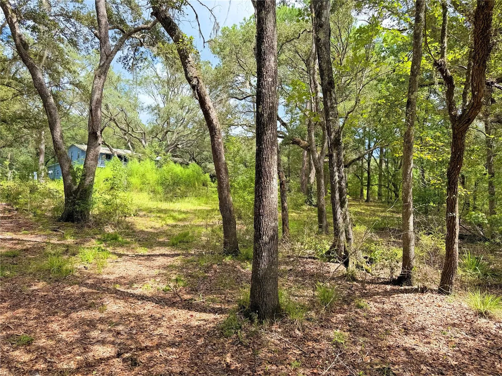 Trail from the Santa Fe River to Home