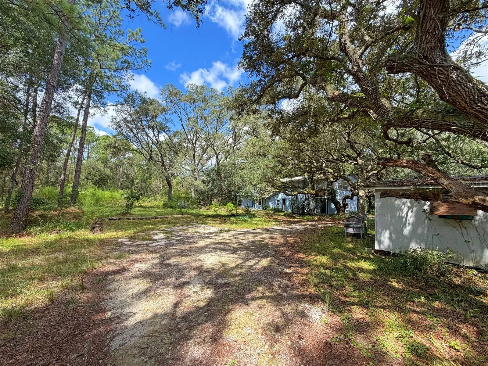 Driveway coming into property