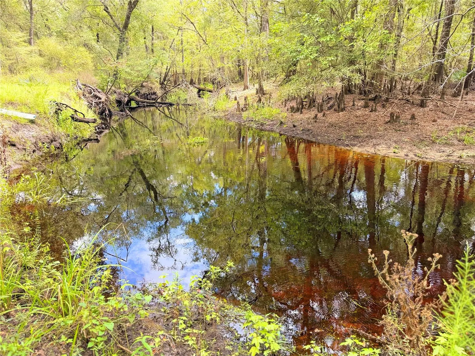 Santa Fe River