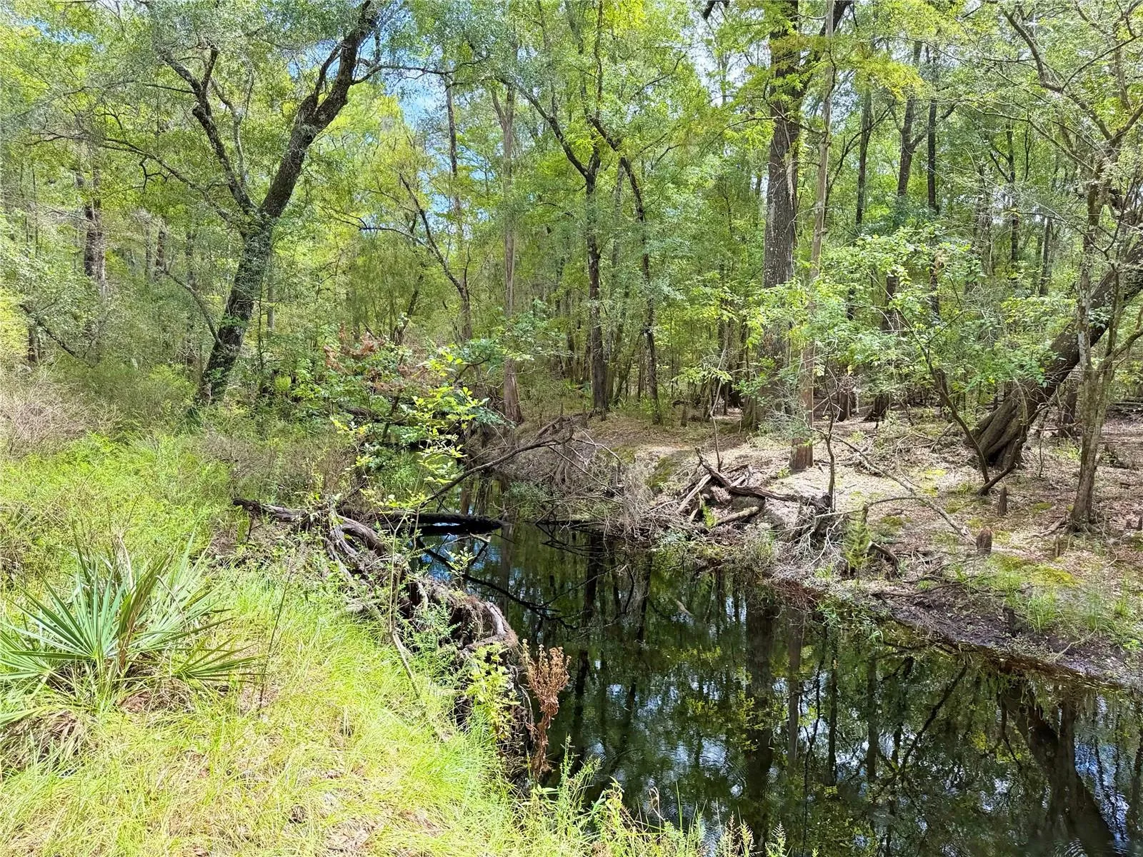 Santa Fe River