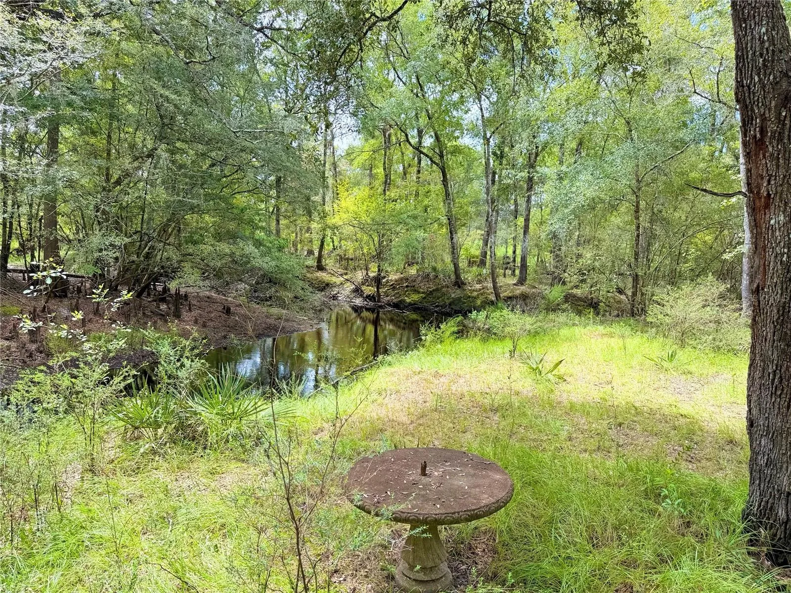 Trail to the Santa Fe River