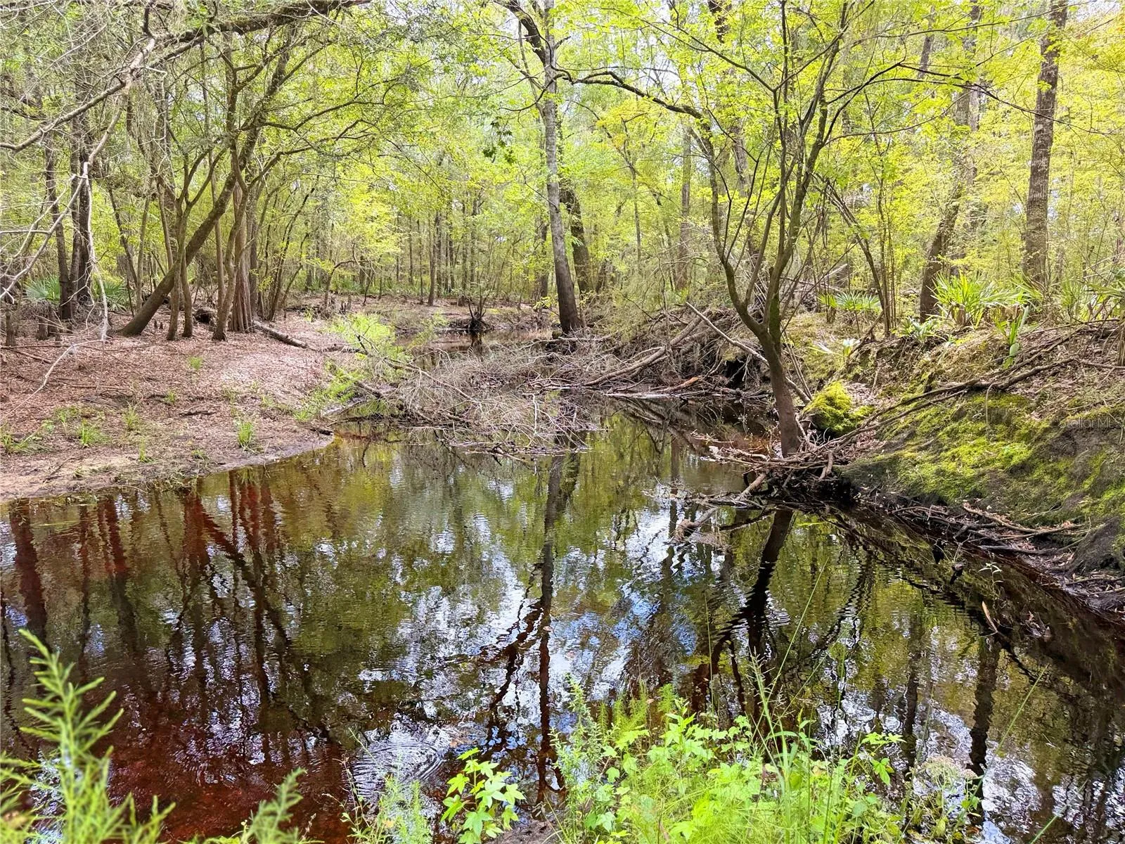 Santa Fe River
