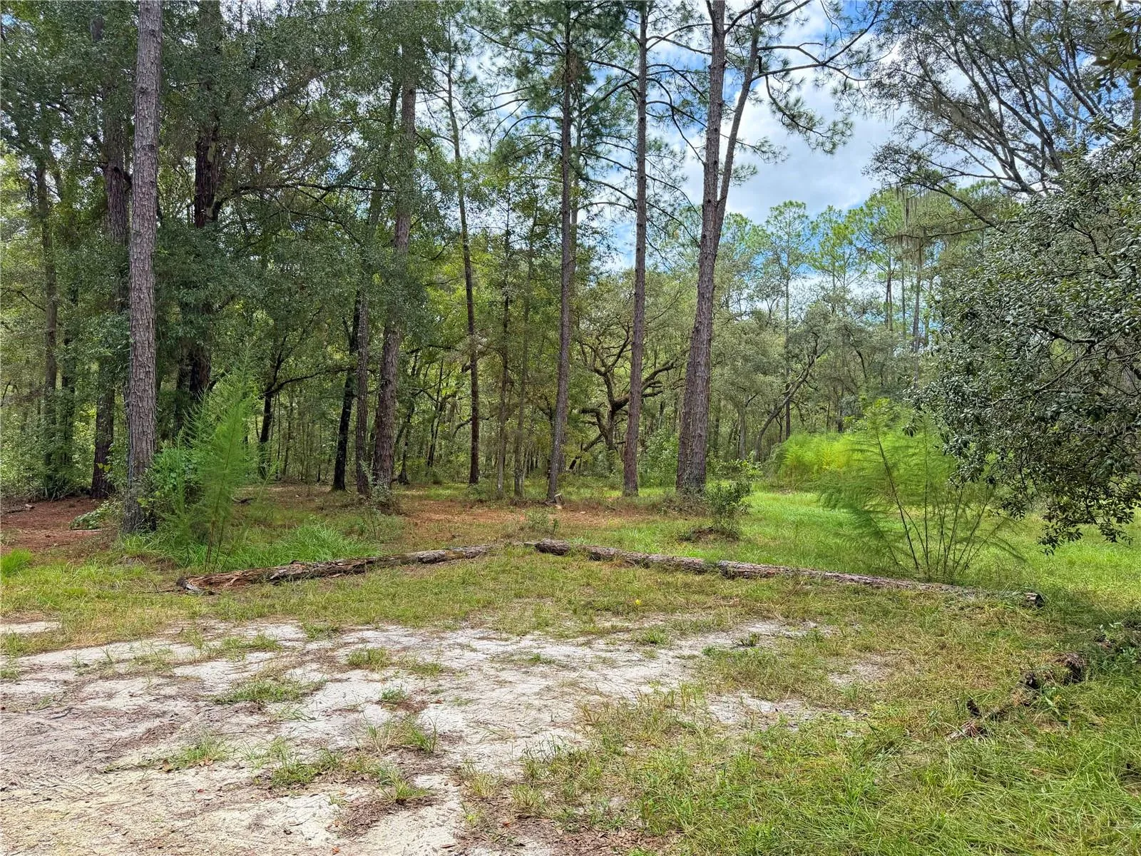 Park area coming into driveway