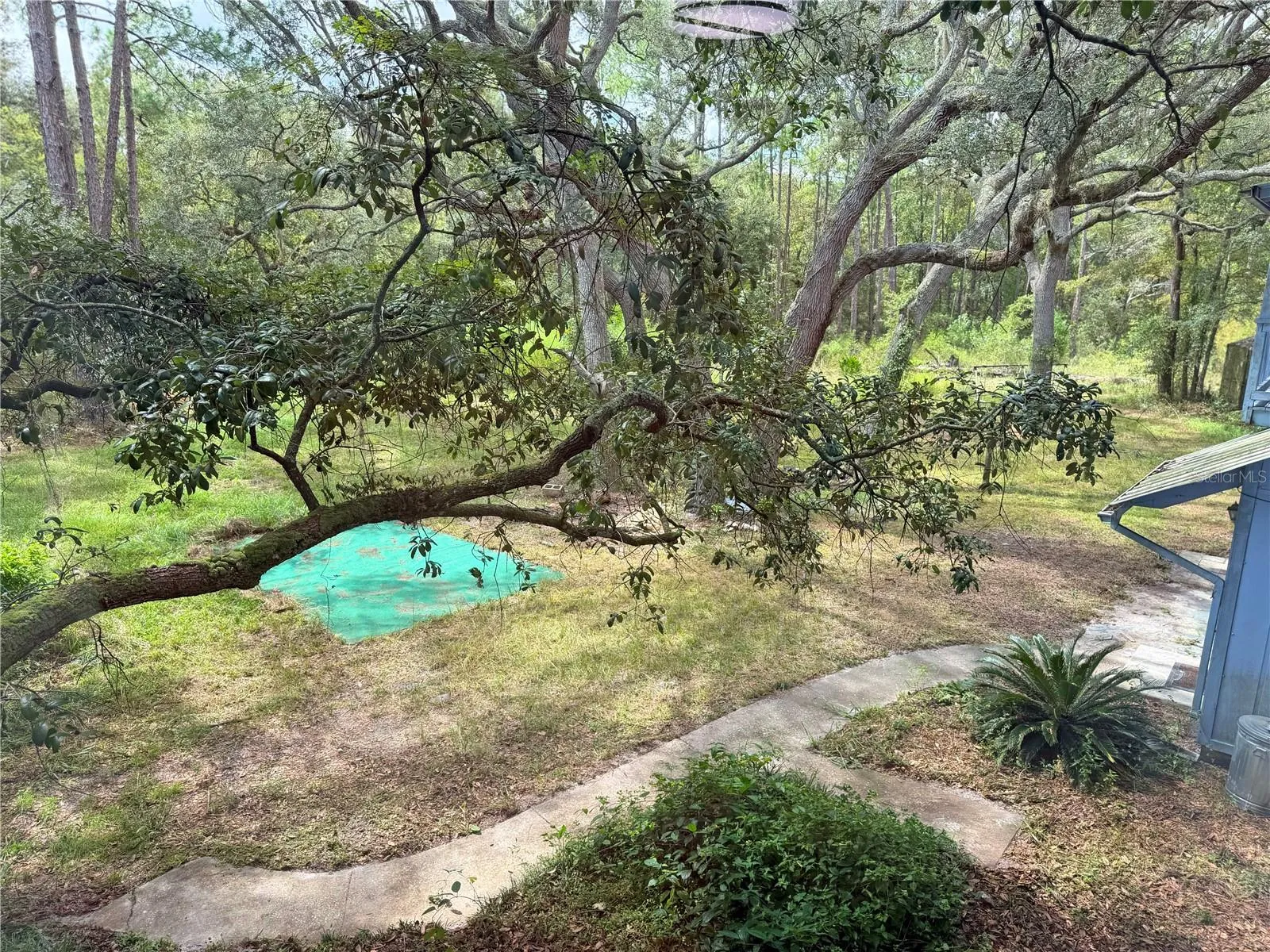 View from Dining Room