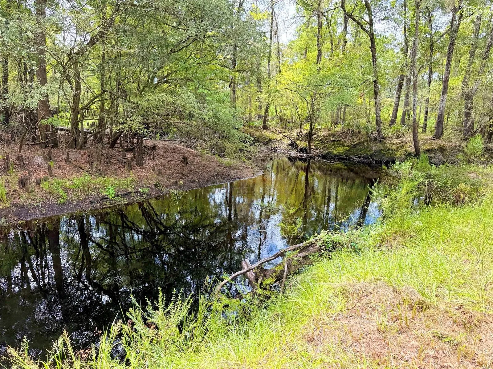 Santa Fe River