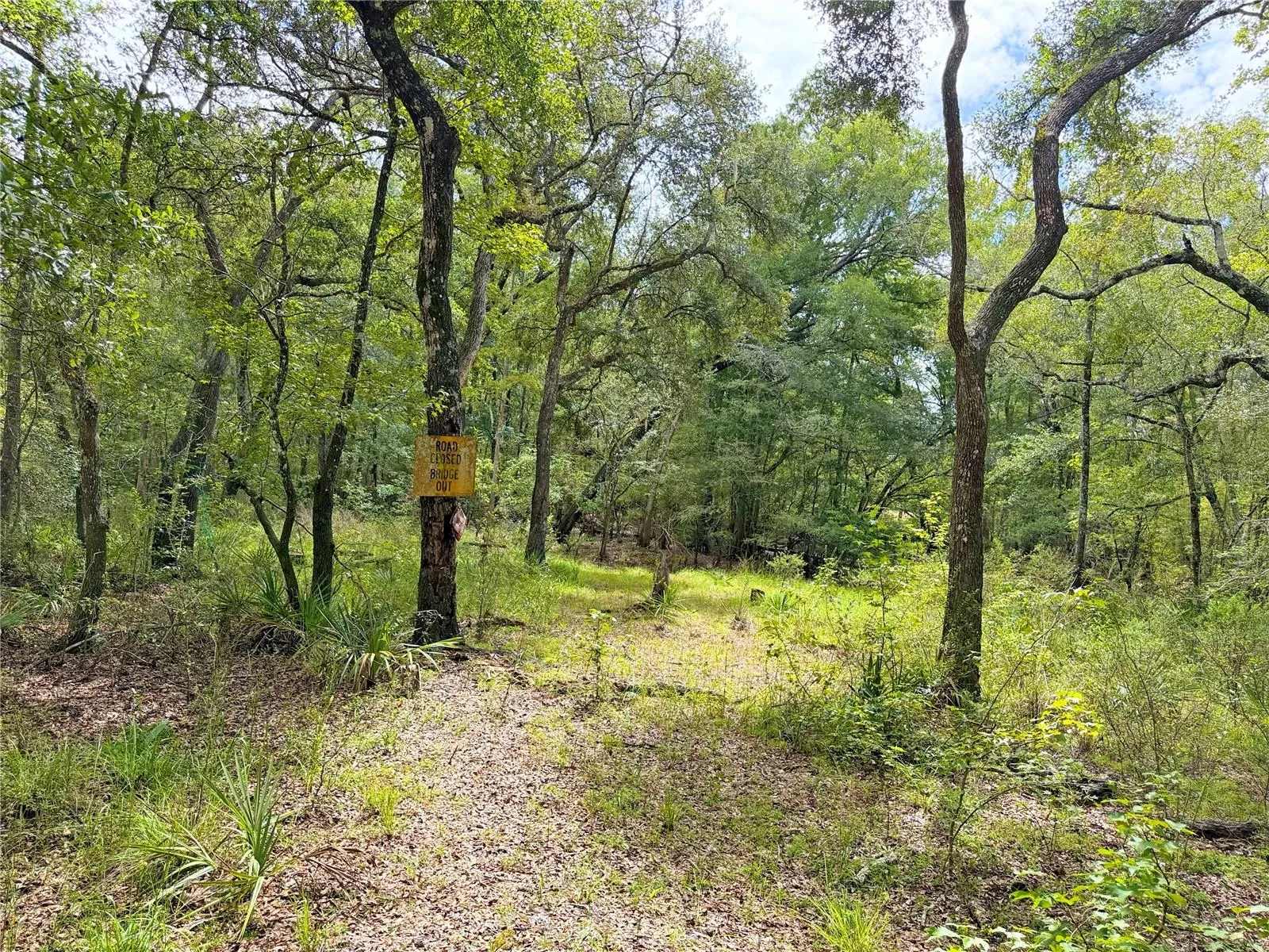 Trail to the Santa Fe River