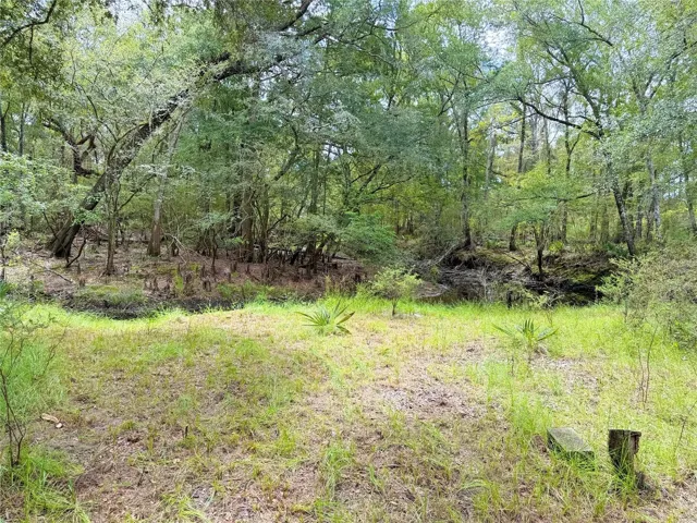 Trail to the Santa Fe River