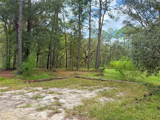 Park area coming into driveway