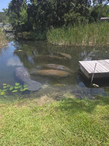 Visitors