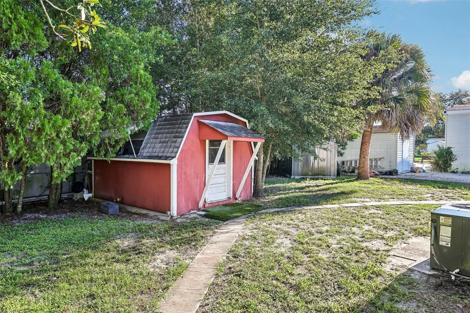 Back yard