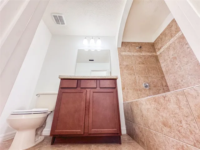 Primary Bathroom - Vanity and Shower