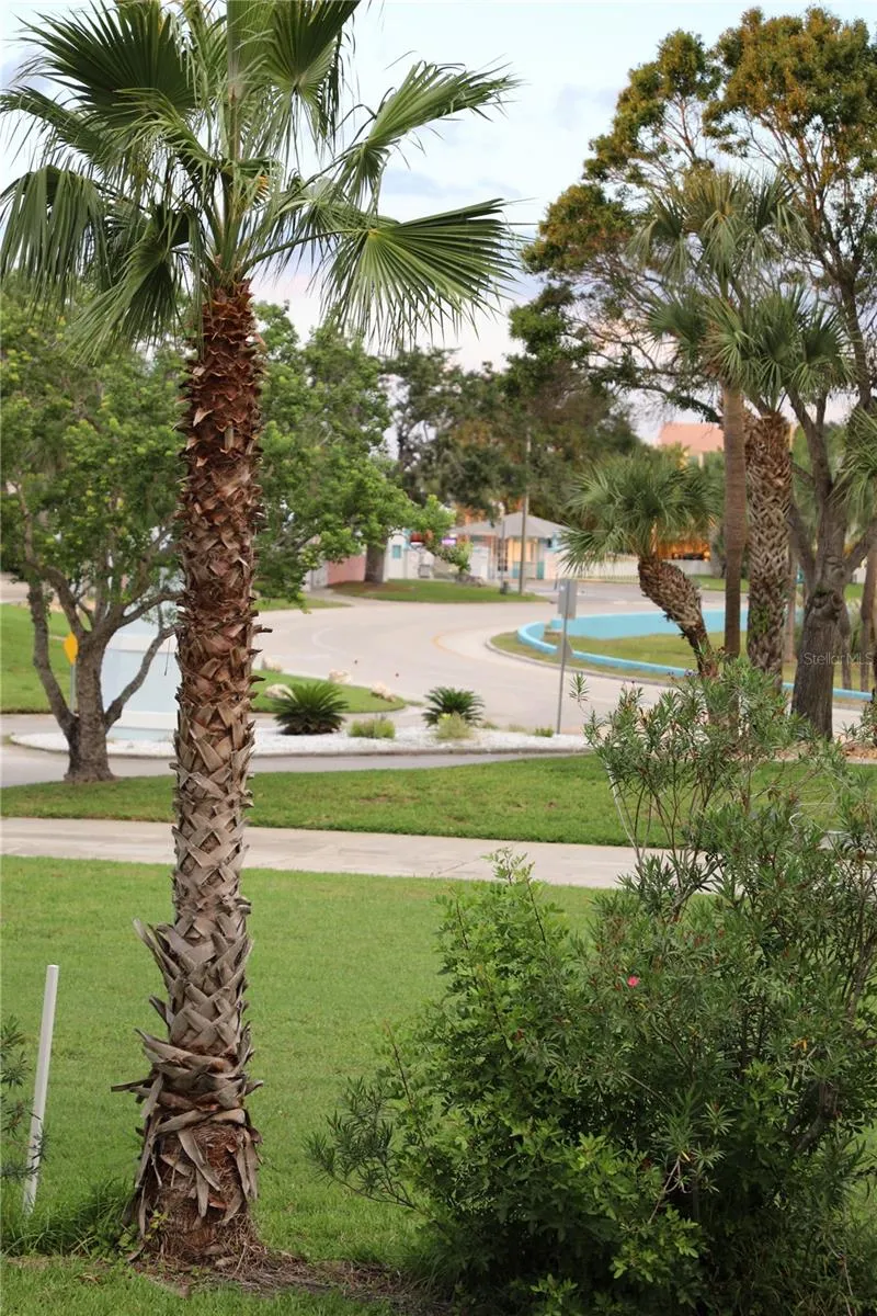 Front yard view toward the Gulf Harbors Beach Club.