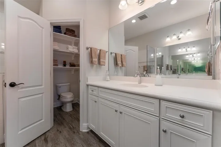 Primary Suite Bath