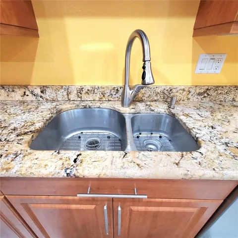 double sink and faudet with pull out sprayer. Also a soap pump.