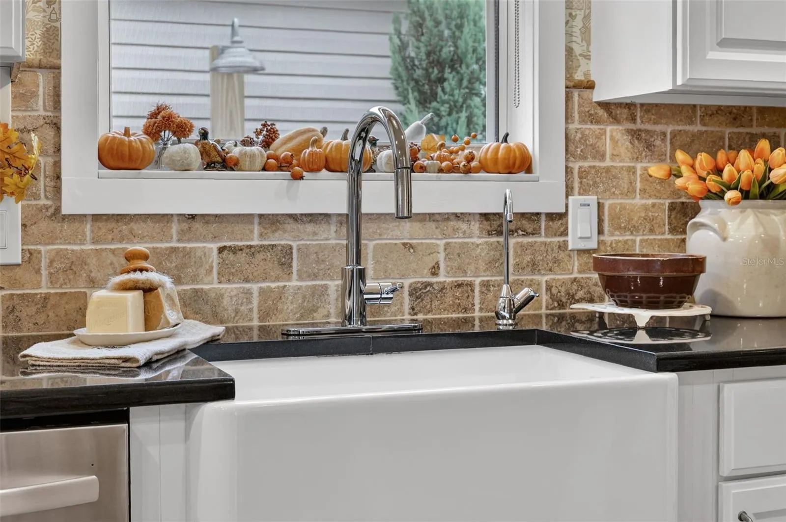 Farm Sink and New Faucet