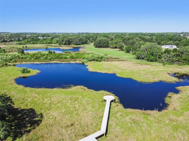 Natural Pond
