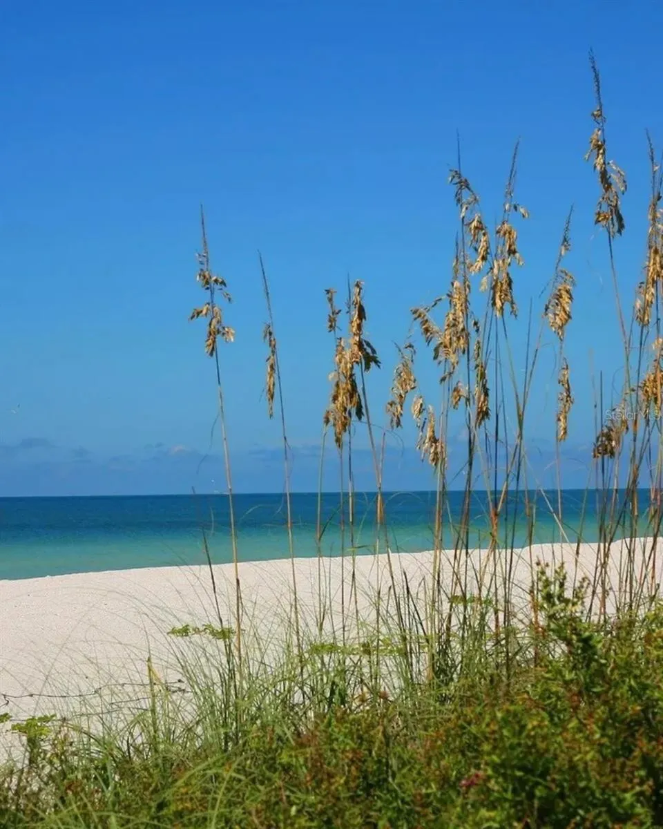 Local Beach