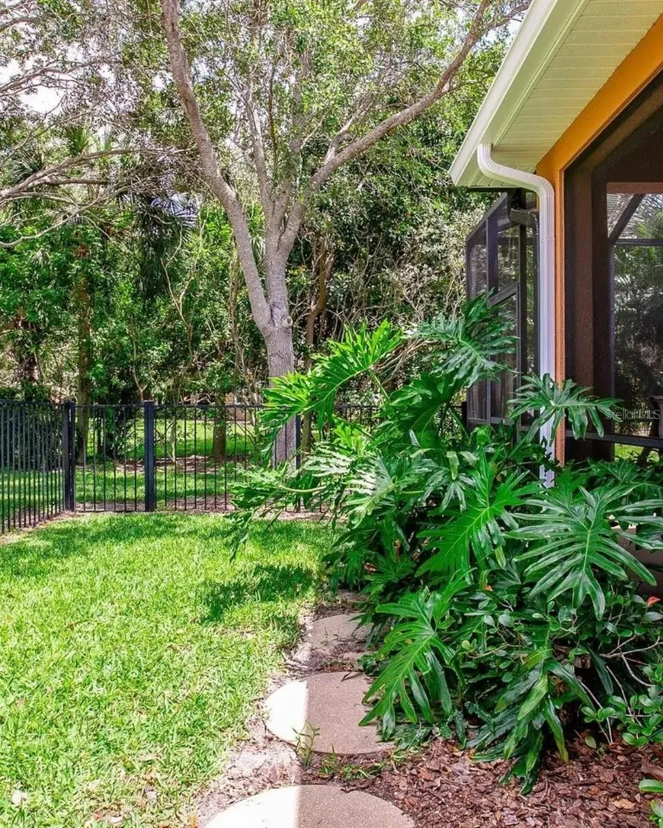 Side Yard