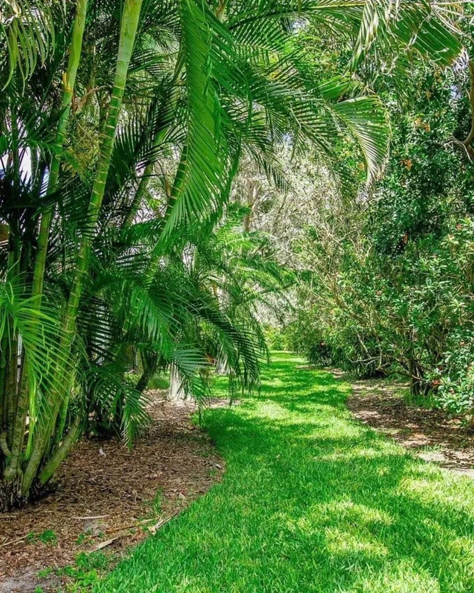 Side Yard