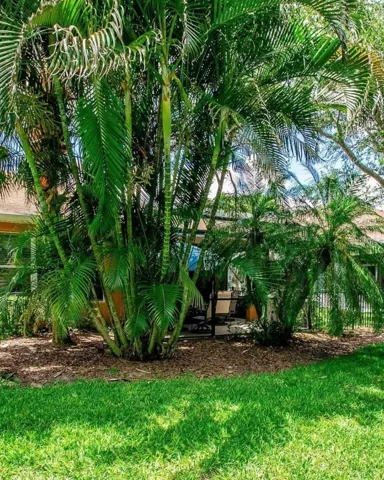 Side Yard