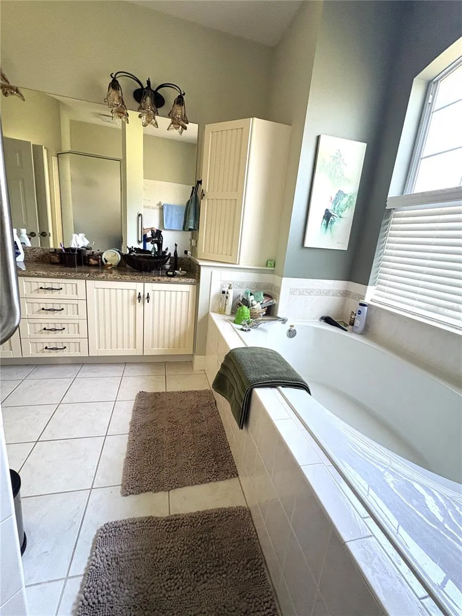 from shower overlooking garden/soaking tub and dual vanity