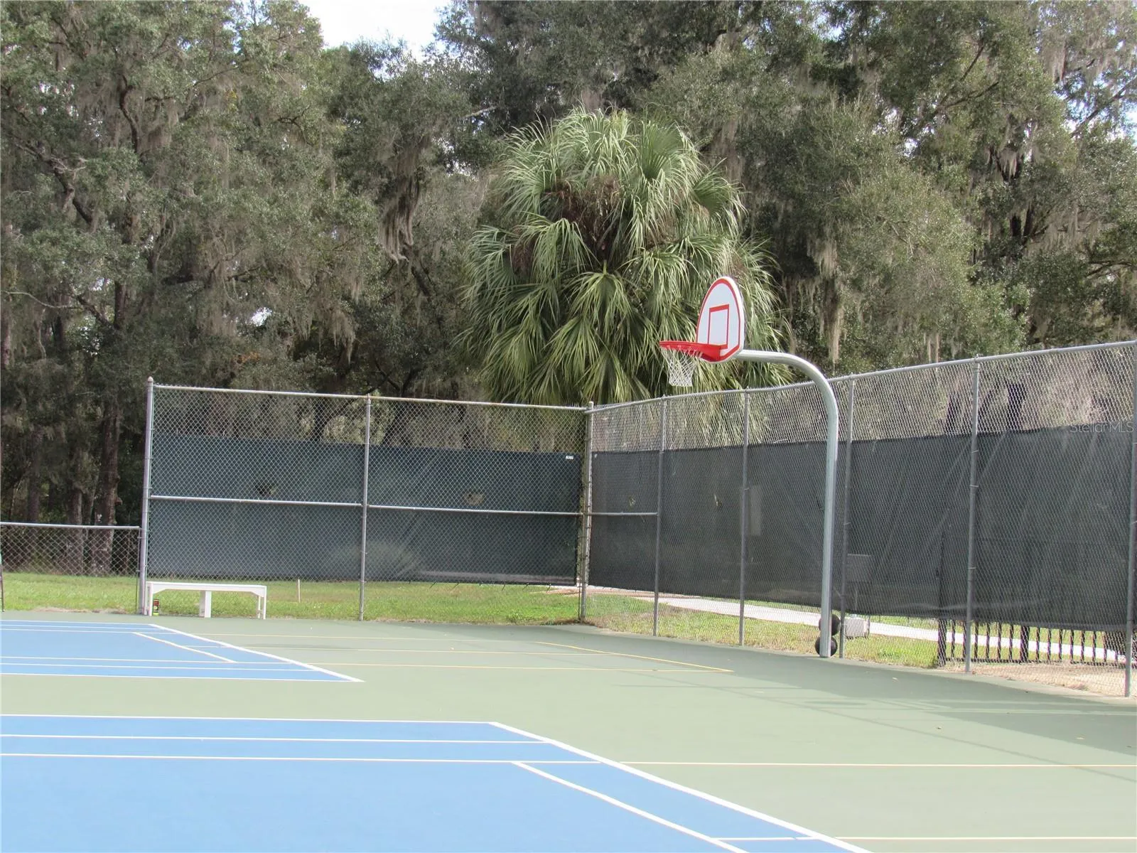 basketball hoop