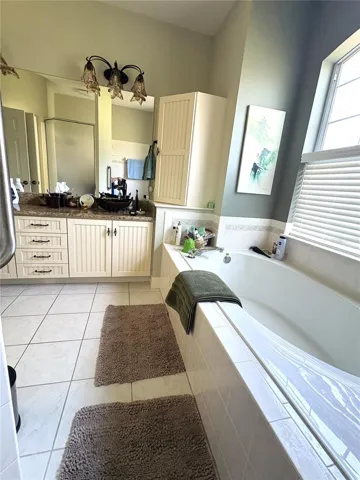 from shower overlooking garden/soaking tub and dual vanity