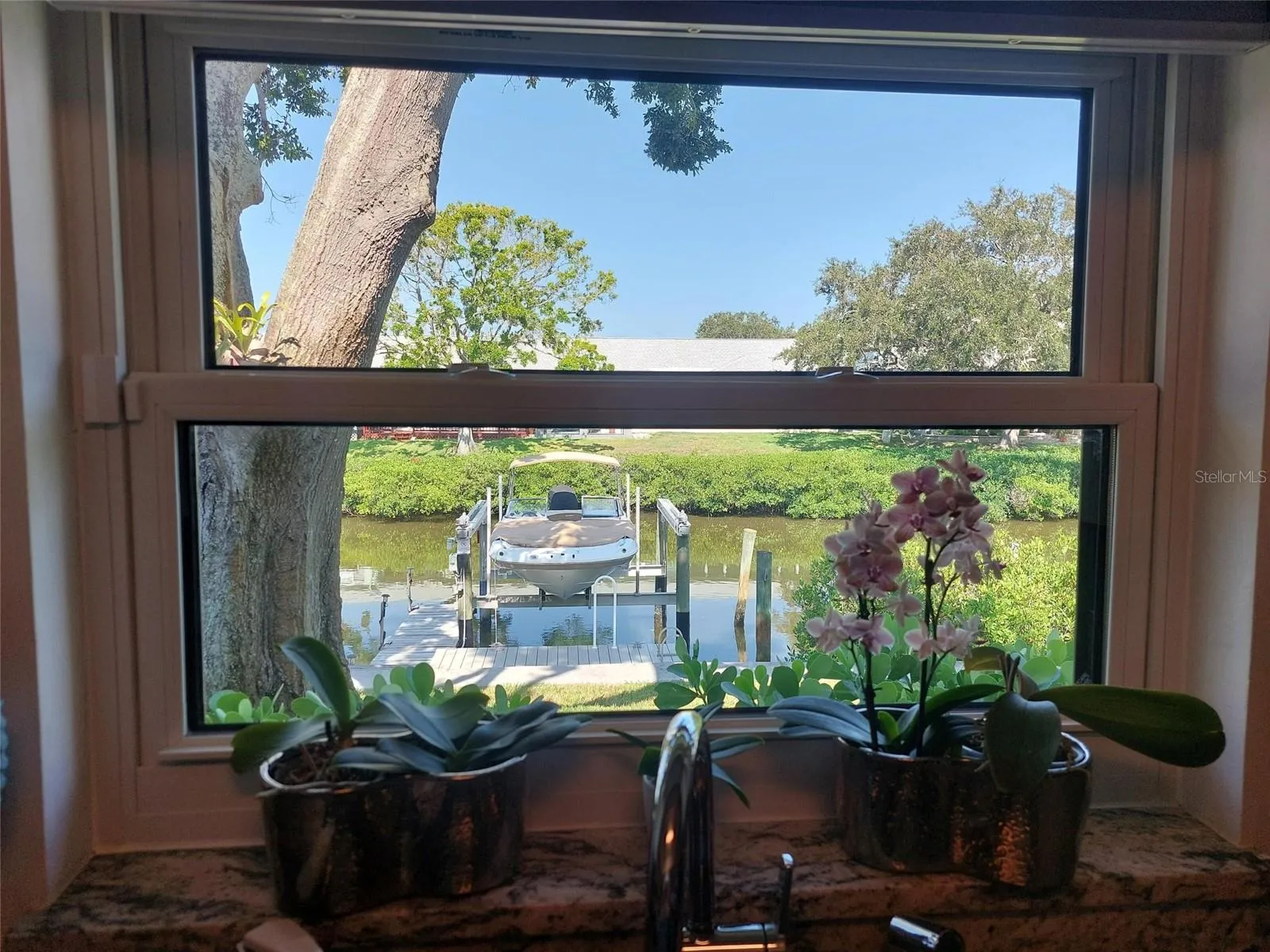 View through kitchen window.