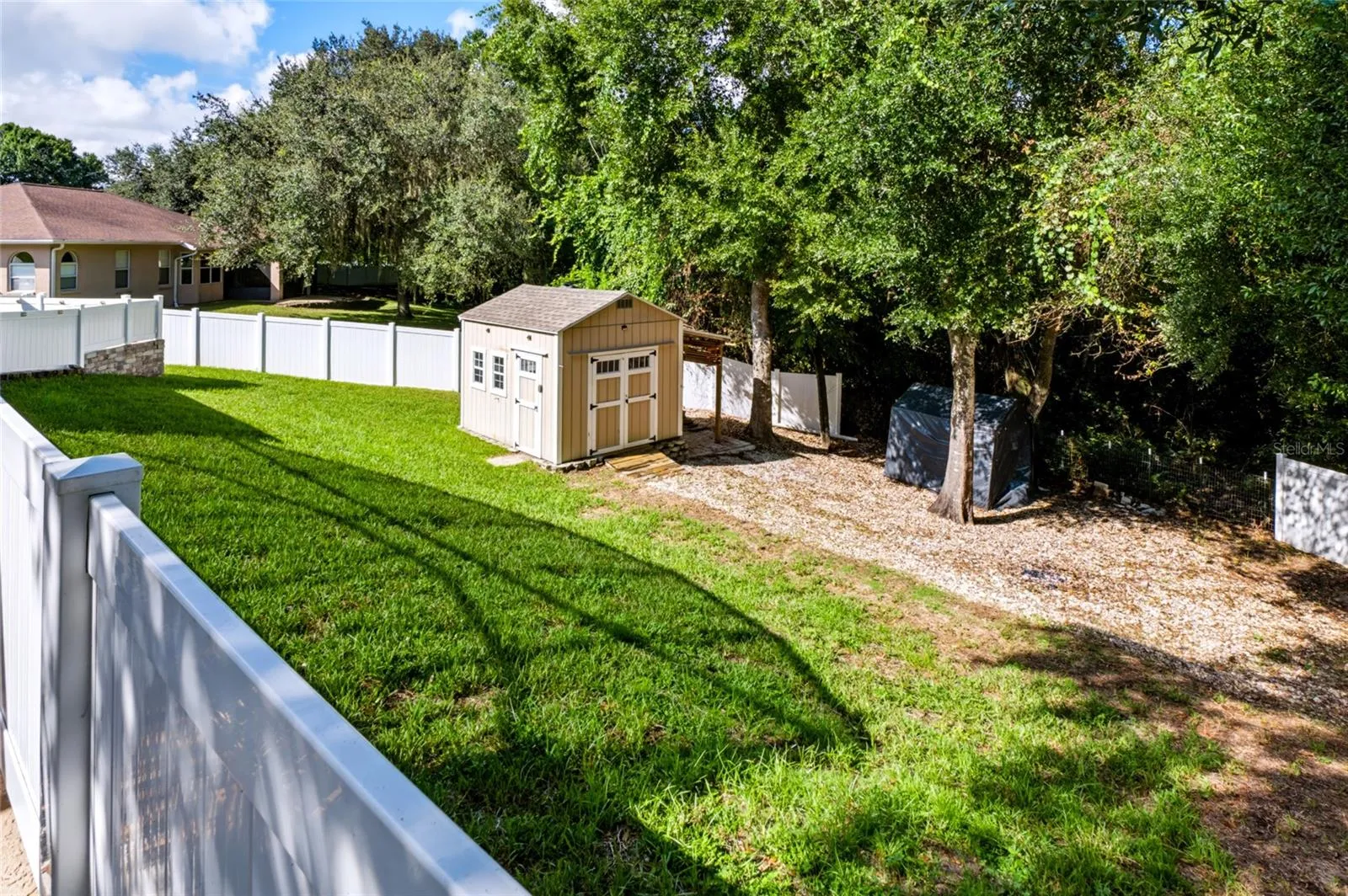 shed in back yard