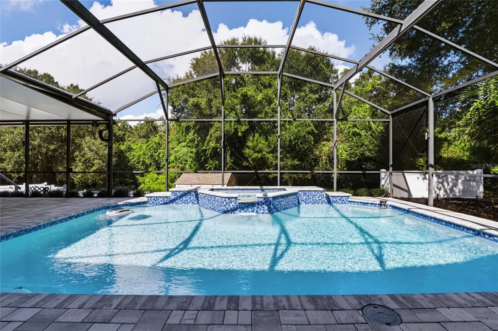 Private pool with robotic skimmer