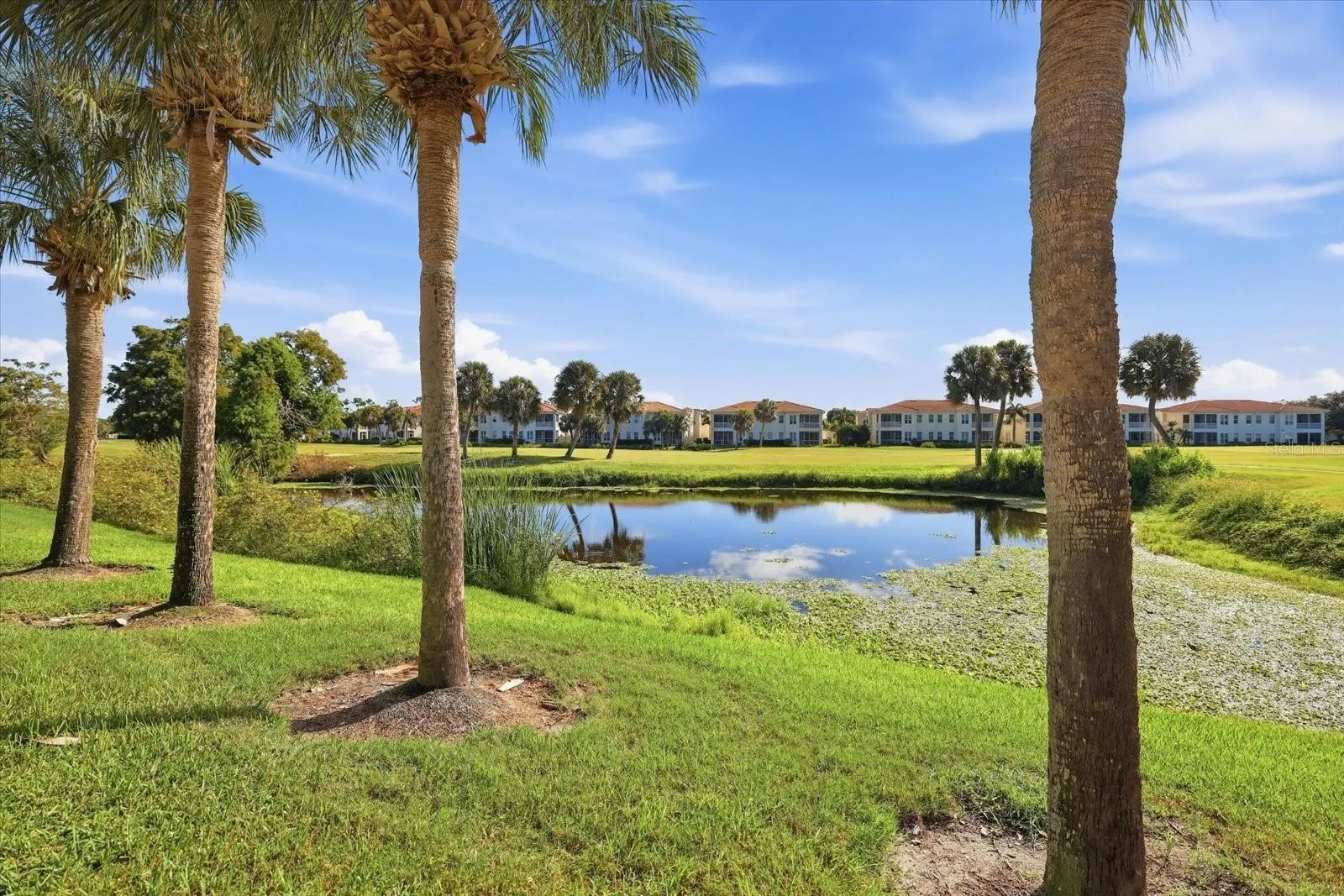 Lake view