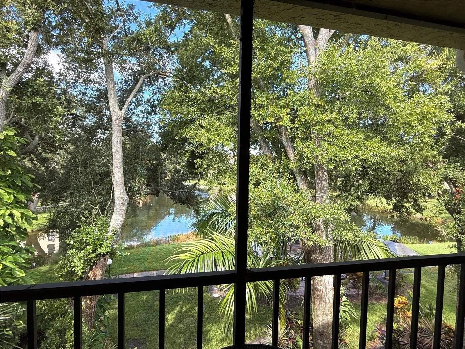 Lanai Views