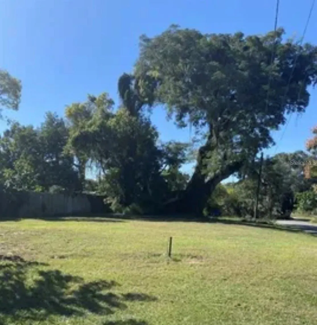 Beautiful  Street View vacant Land