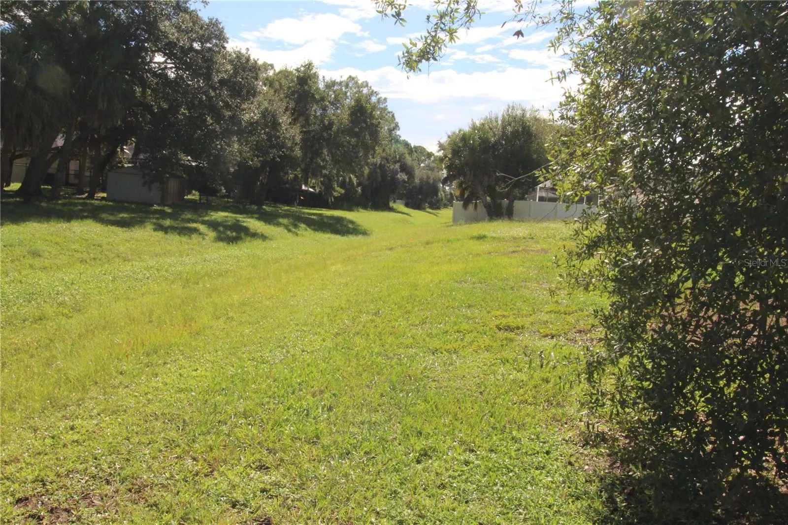 Greenbelt area behind home...