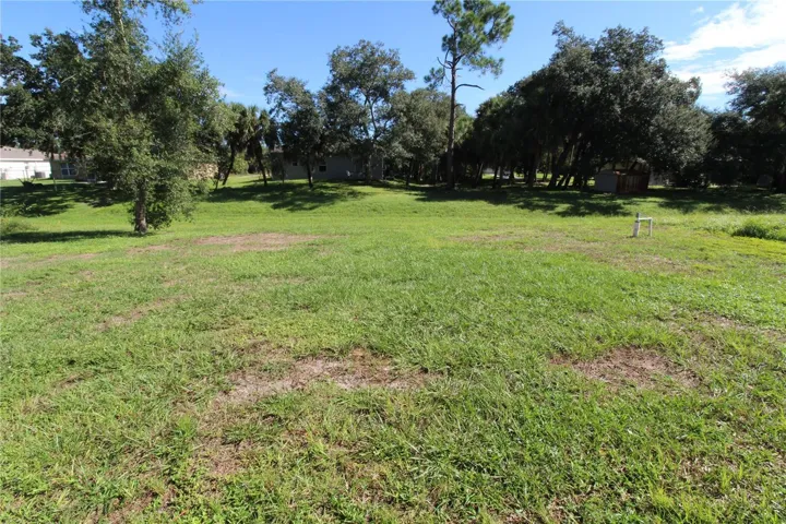 Backyard