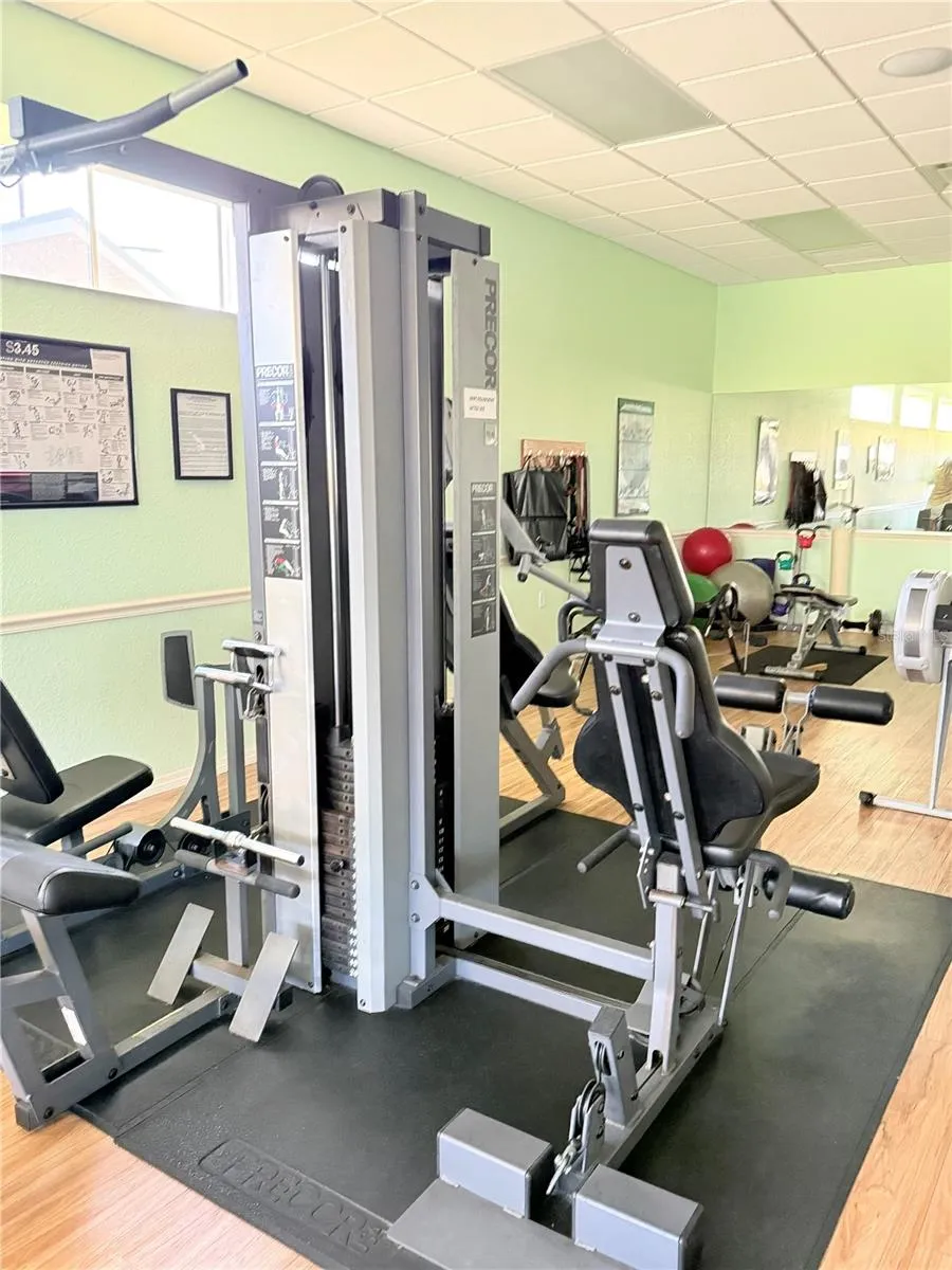 Gym
