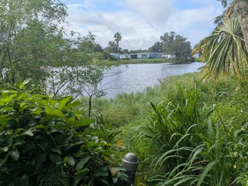 Pond