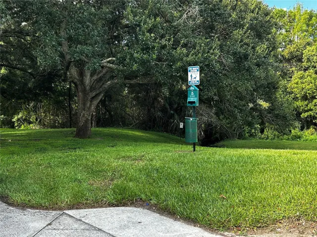 Dog Walk Area